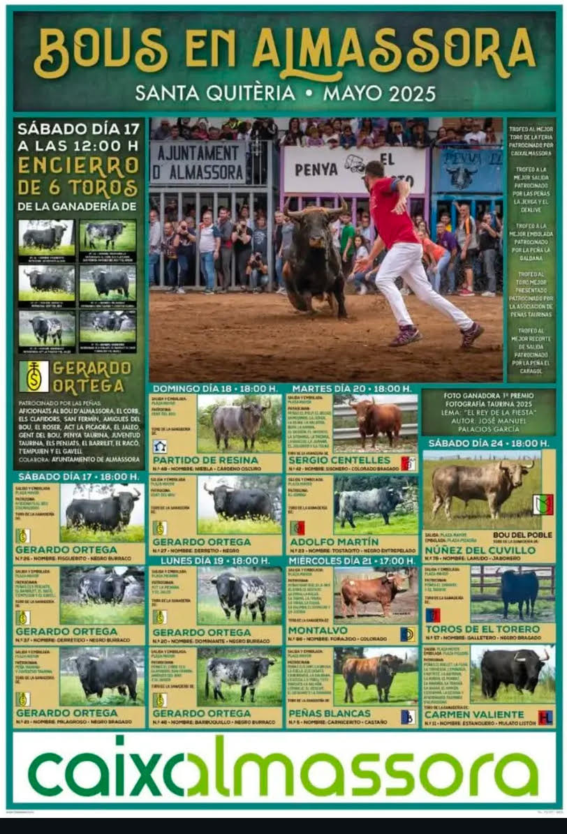 TOROS-BOUS-ALMASSORA-17-MAYO-2025