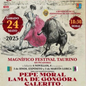 TOROS-BURGUILLOS-24-MAYO-2025