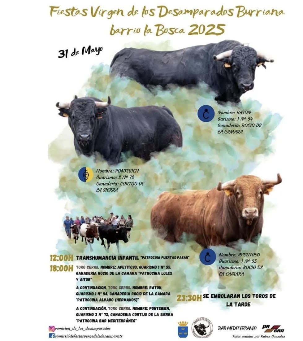 TOROS-BURRIANA-31-MAYO-2025