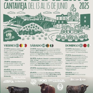 TOROS-CANTAVIEJA-SAN-LAMBERTO-13-14-Y-15-DE-JUNIO-2025