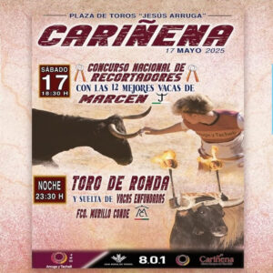 TOROS-CARIÑERA-17-MAYO-2025