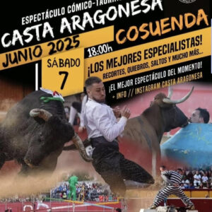 TOROS-CASTA-ARAGONESA-7-DE-JUNIO-2025