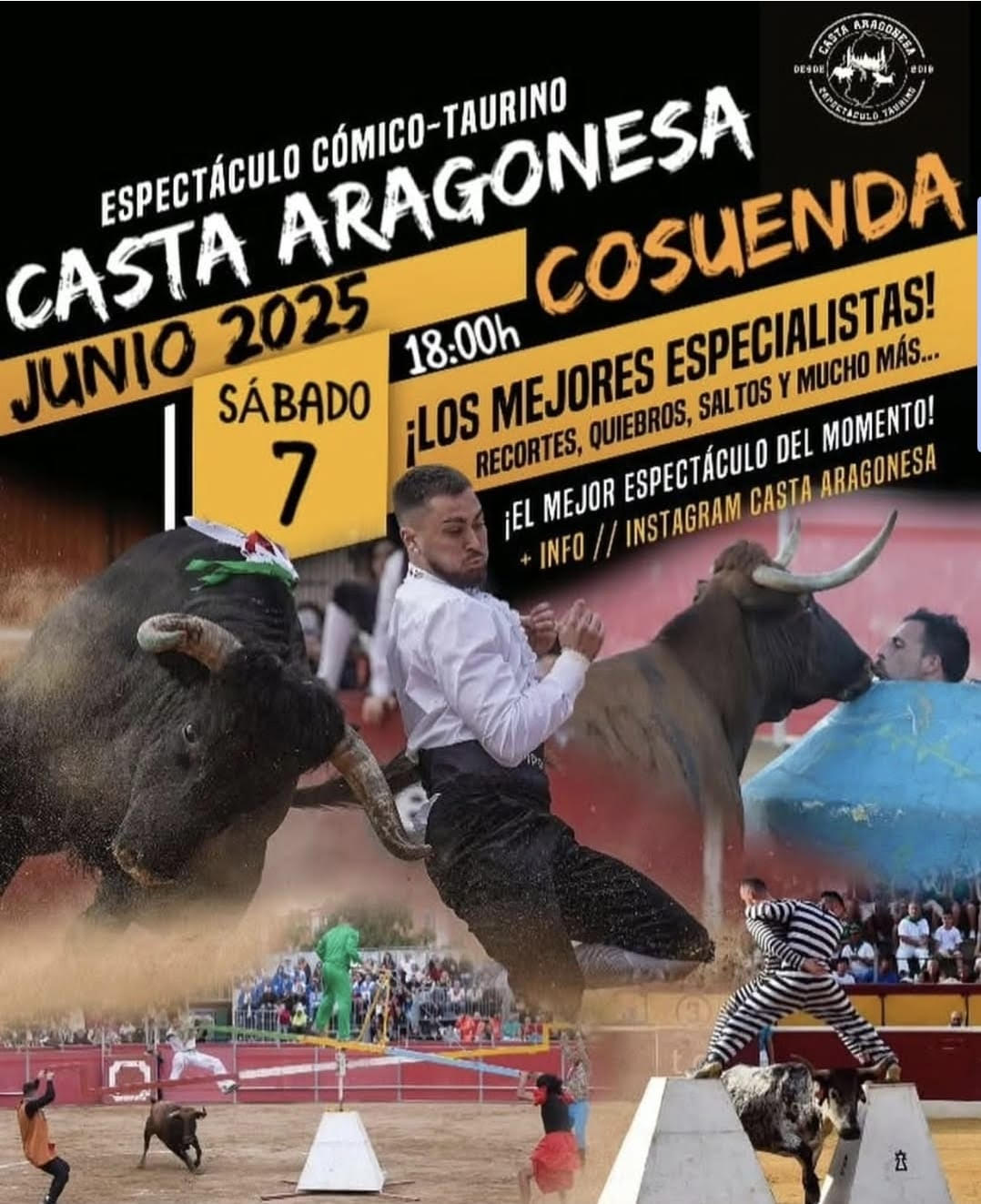 TOROS-CASTA-ARAGONESA-7-DE-JUNIO-2025