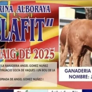 TOROS-COMISSIO-TAURINA-ALBORAYA-2025