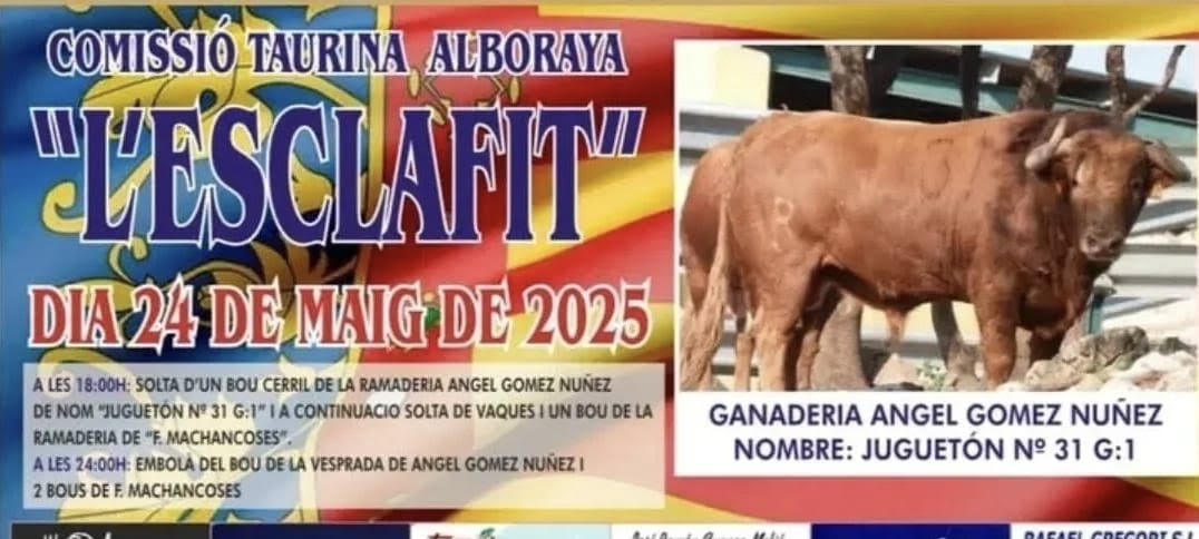 TOROS-COMISSIO-TAURINA-ALBORAYA-2025