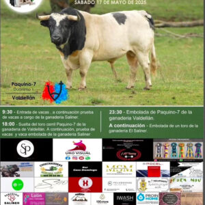 TOROS-COMISSIO-TAURINA-LLIRIA-17-MAYO-2025