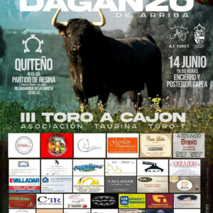 TOROS-DAGANZO-DE-ARRIBA14-JUNIO-202