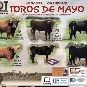 TOROS-DE-MAYO-23-24-25-MAYO-2025