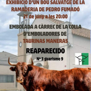 TOROS-ELS-LLIGALLOS-21-JUNIO-2025