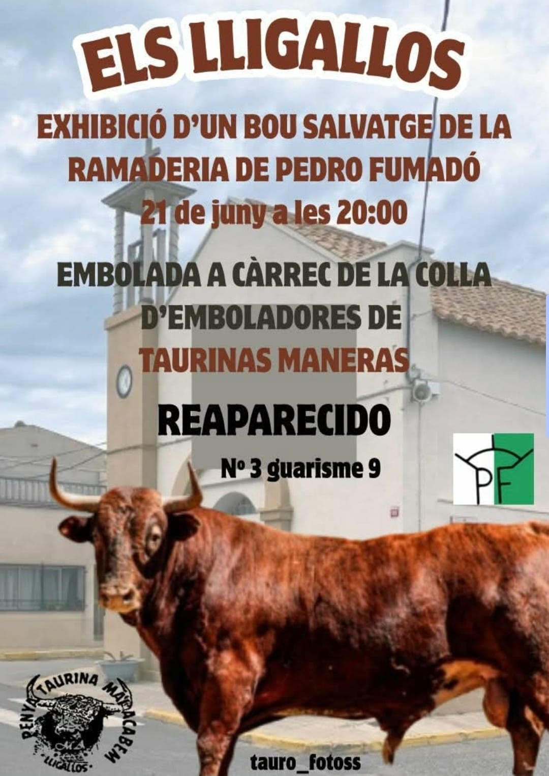 TOROS-ELS-LLIGALLOS-21-JUNIO-2025