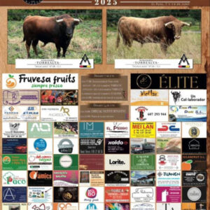 TOROS-ELS-PUXEROS-7-DE-JUNIO-2025.