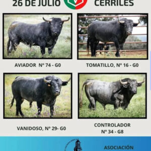 TOROS-ENCIERRO-CERRILES-JERICA-26-JULIO-2025