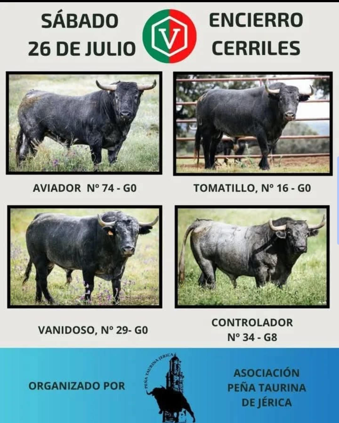 TOROS-ENCIERRO-CERRILES-JERICA-26-JULIO-2025