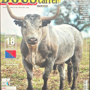 TOROS-ENMAROMADO-DE-BENAVENTE-18-JUNIO-2025