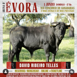 TOROS-EVORA1-JUNIO-2025