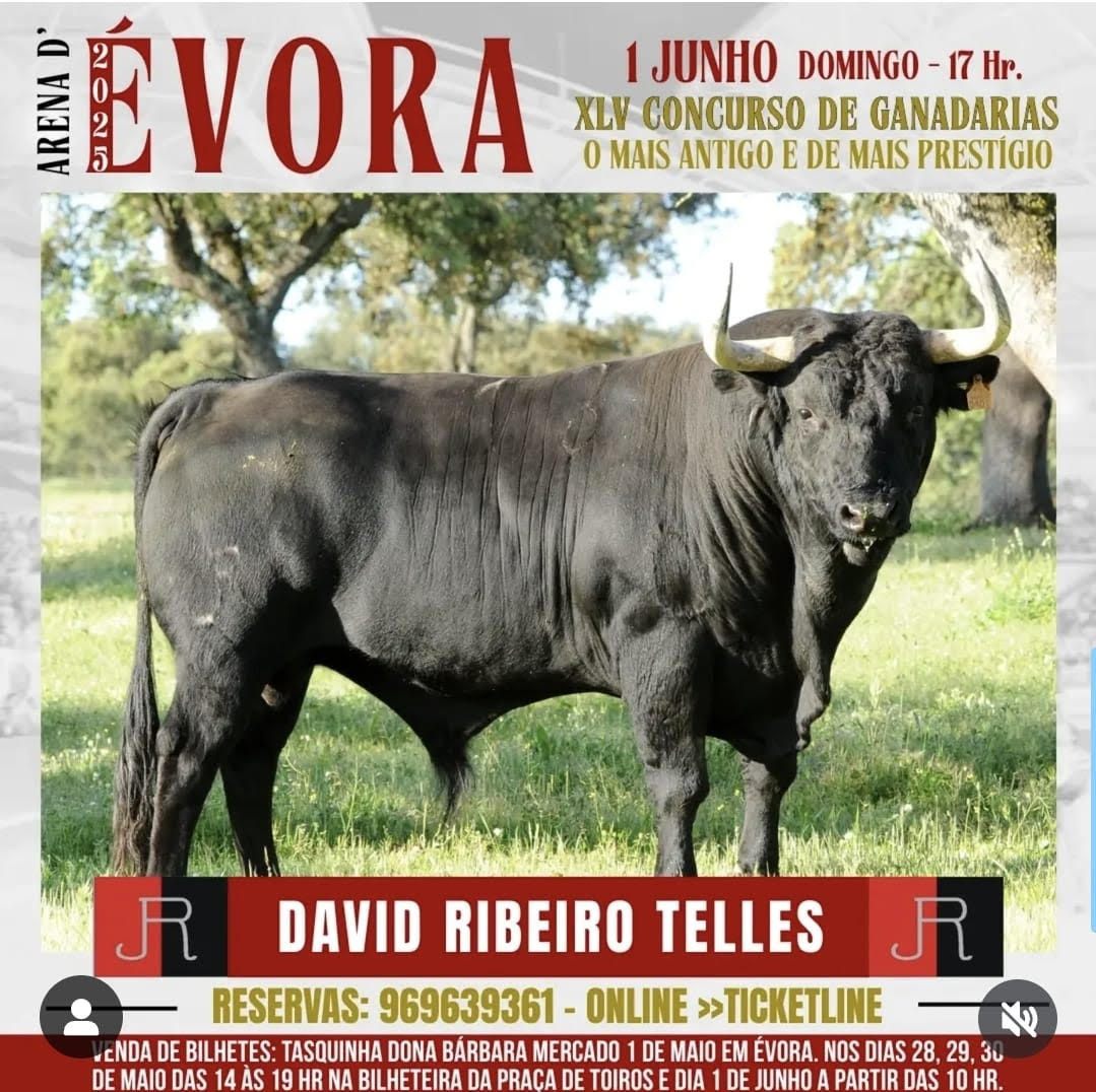 TOROS-EVORA1-JUNIO-2025
