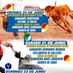 TOROS-FERIA-TAURINA-CASA-BLANCA-20-21-Y-22-DE-JUNIO-2025