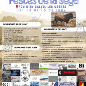 TOROS-FESTES-DE-LA-SEGA-DEL-13-AL-15-DE-JUNIO-2025