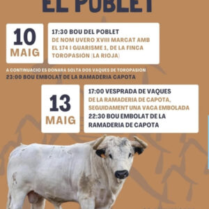 TOROS-FESTESB-EL-POBLE-10-MAYO-2025