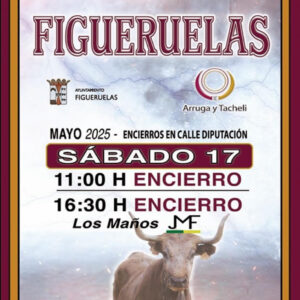 TOROS-FIGUERUELAS-17-MAYO-2025