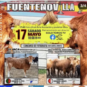 TOROS-FUENTENOVILLA-17-MAYO-2025