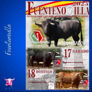 TOROS-FUENTENOVILLA-17-MAYO-2025