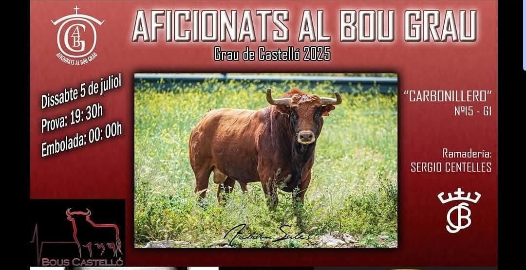 TOROS-GRAU-DE-CASTELLO-5-JULIO-2025