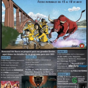 TOROS-MANZANAL-DEL-BARCO-DEL-15-AL-18-DE-MAYO-2025