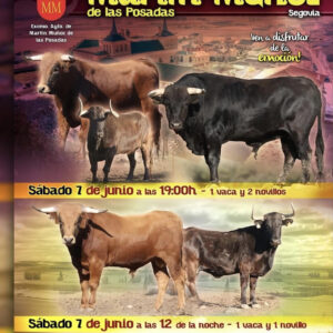 TOROS-MARTIN-MUNOZ-DE-LA-POSADAS-7-JUNIO-2025.