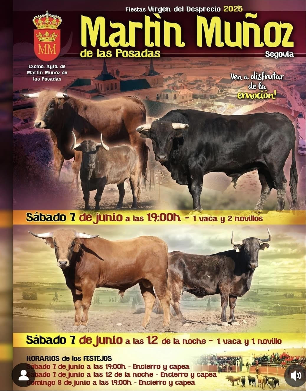 TOROS-MARTIN-MUNOZ-DE-LA-POSADAS-7-JUNIO-2025.