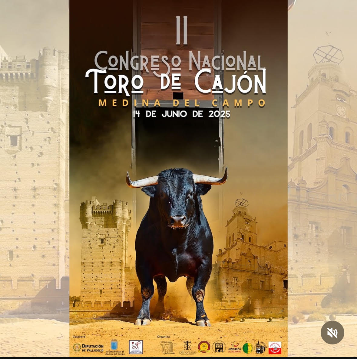 TOROS-MEDINA-DEL-CAMPO-14-JUNIO-2025.