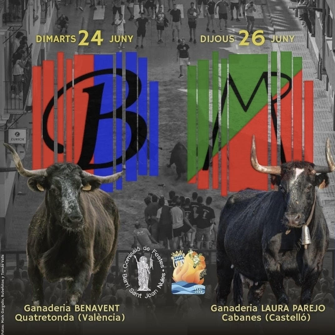 TOROS-NULES-26-JUNIO-2025