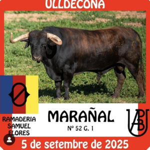 TOROS-OLLDECONA-5-SEPTIEMBRE-2025