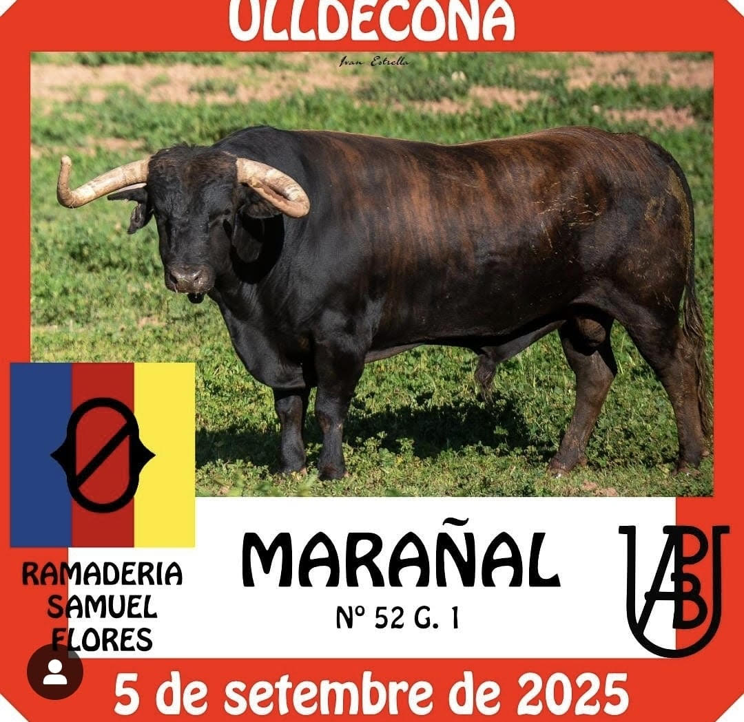 TOROS-OLLDECONA-5-SEPTIEMBRE-2025