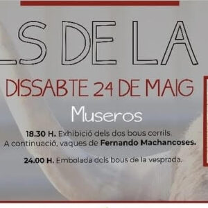TOROS-P.T.-ELS-DE-LA-POR-24-MAYO-2025