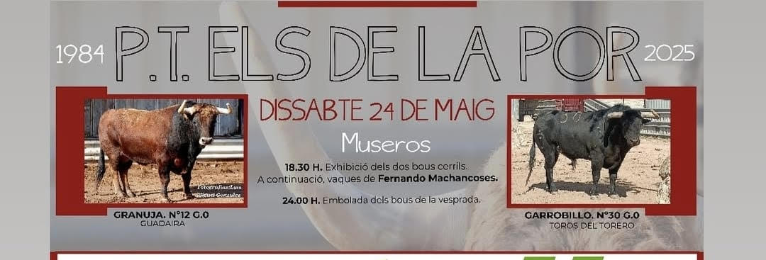 TOROS-P.T.-ELS-DE-LA-POR-24-MAYO-2025