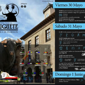 TOROS-PEÑA-EL-YUGUETE-31-MAYO 2025