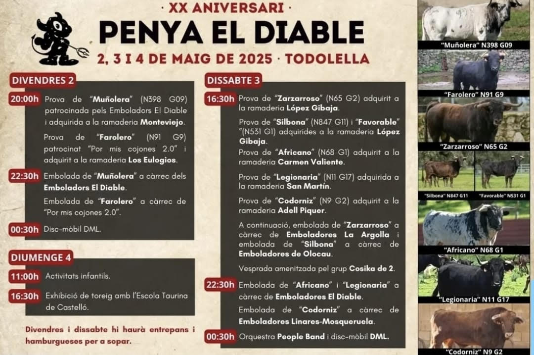 TOROS-PENYA-EL-DIABLO-2,3-I-4-MAYO-2025