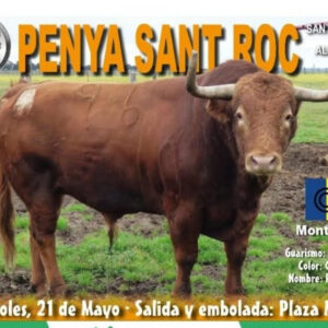 TOROS-PENYA-SANT-ROC-21-MAYO-2025.