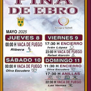 TOROS-PINA-DE-EBRO-DEL-8,9,10-Y-11-DE-MAYO-2025