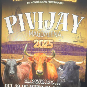 TOROS-PIVIJAY-DEL-29-AL-1-DE-JUNIO-2025