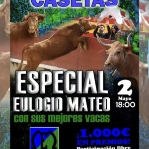 TOROS-PLAZA-DE-TOROS-LAS-CASETAS-2-MAYO-2025