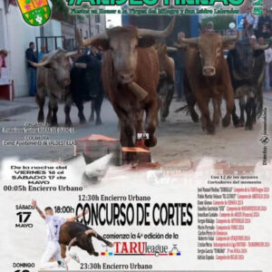 TOROS-PLAZA-DE-TOROS-VALDESTILLAS-17Y-18-DE-MAYO-202