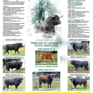TOROS-PUEBLA-DE-ARGEME-DEL-8-AL-12-DE-MAYO-2025