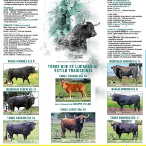 TOROS-PUEBLA-DE-ARGEME-DEL-8-AL-12-MAYO-2025
