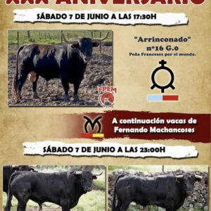 TOROS-SAN-QUERER-7-JUNIO-2025