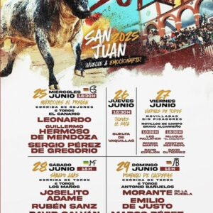 TOROS-SORIA-DE-25-AL-29-DE-JUNIO-2025