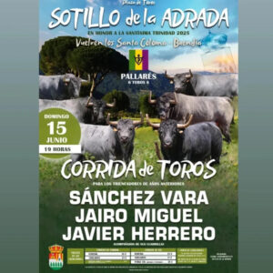 TOROS-SOTILLO-DE-LA-ADRADA-15-JUNIO-2025