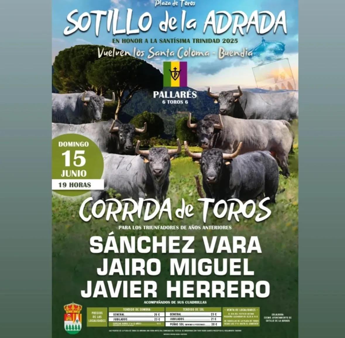 TOROS-SOTILLO-DE-LA-ADRADA-15-JUNIO-2025