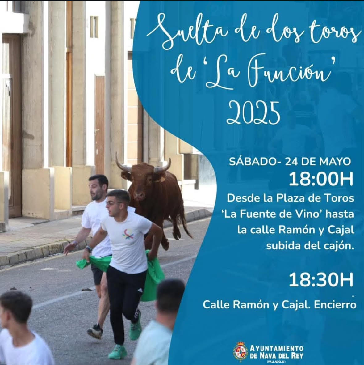 TOROS-SUELTA-DE-LO-TOROS-DE-LA-FUNCION-24-MAYO-2025